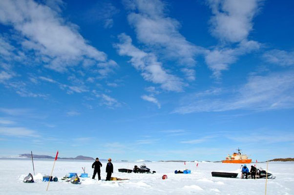 Sea ice research over the Antarctic sea ice 2010