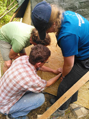Drei Menschen arbeiten an der Holzfassade des LiSiFa-Hauses.
