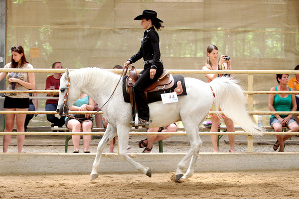 Iris Trauner und Enzo sind Internationale Österreichische Meister Pleasure Open Vollblutaraber. Foto: CK Photographics