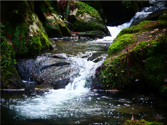 Am Silberbachtal