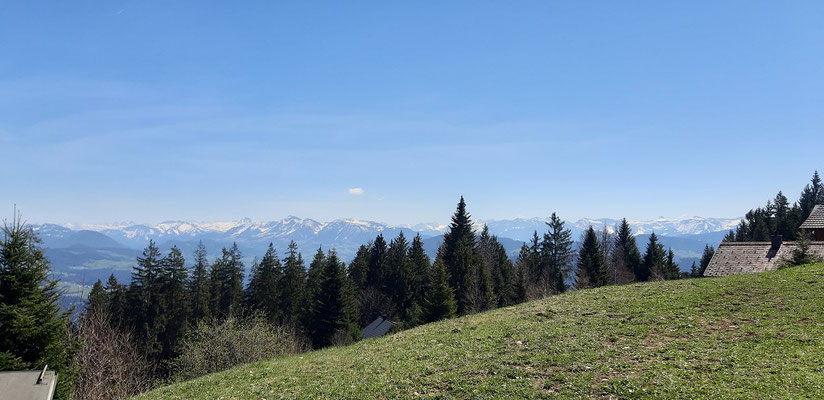 Blick vom Pfänder Richtung Alpen