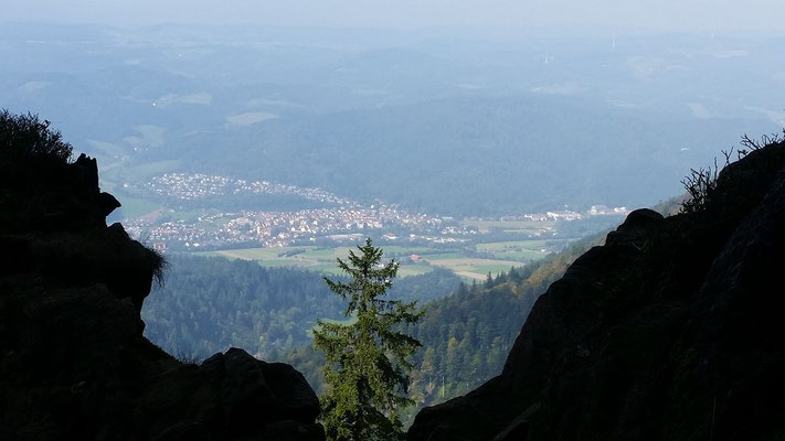 Blick auf Waldkirch