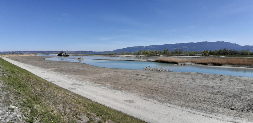 hier mündet der Rhein in den Bodensee