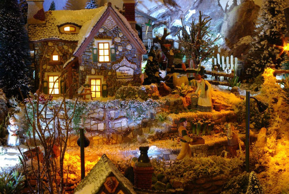 Village Noël/Christmas Village 2013, la nuit: Un jardin bien entretenu