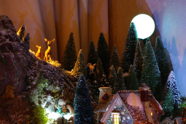 Village Noël/Christmas Village 2013, la nuit: Clair de lune et faune locale