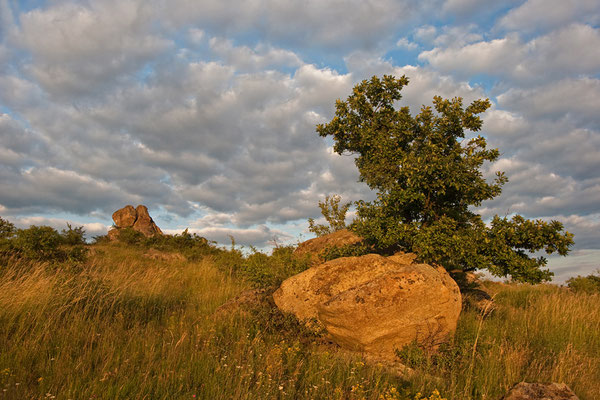 Naturdenkmal Kogelsteine