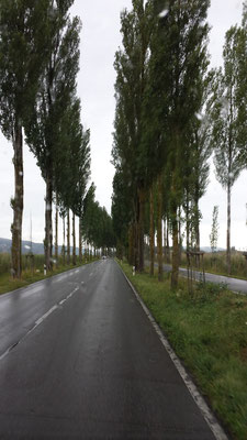 Ankunft auf der Reichenau bei Regenwetter