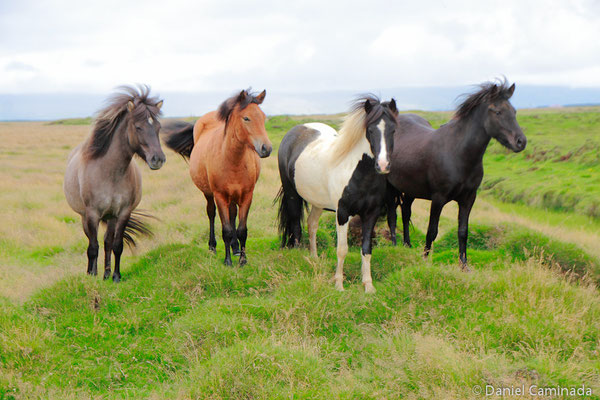 Suðurland, Iceland (2011)