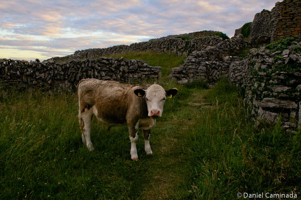 Inishmaan, Ireland (2009)