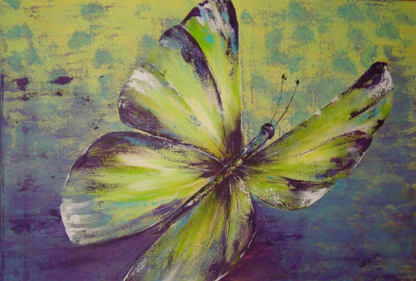 Schmetterling 50x60