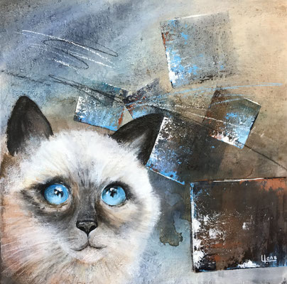 Katze 60x60 verkauft