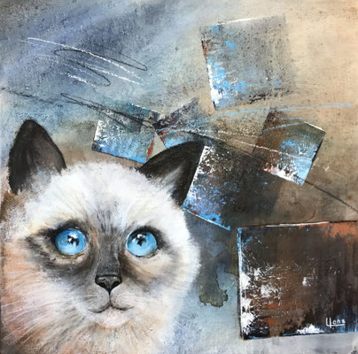 Katze 60x60 verkauft