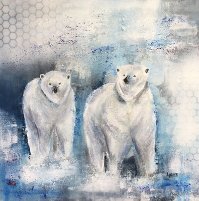 Eisbären 50x50