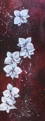 Orchideen 80x30