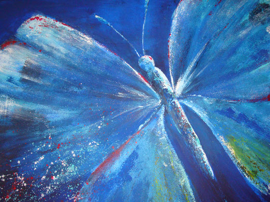Schmetterling 60x60