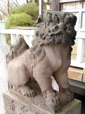 陶山神社の狛犬08番【吽形】アップの写真