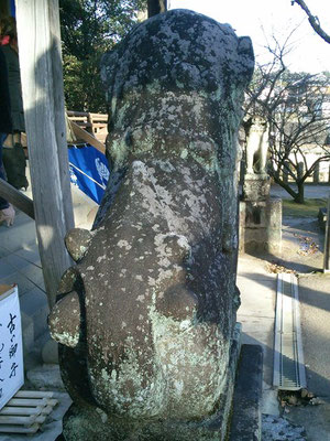 與止日女神社の狛犬【吽形】お尻の写真