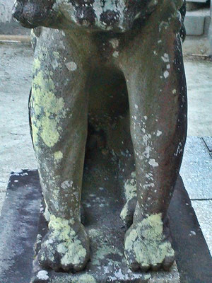 本庄神社の狛犬【吽形】メスの印の写真