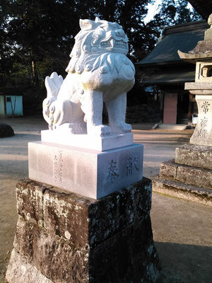 與止日女神社の狛犬【吽形】全体像の写真