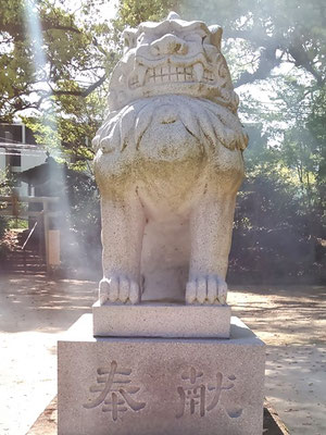 與止日女神社の狛犬【吽形】正面の写真