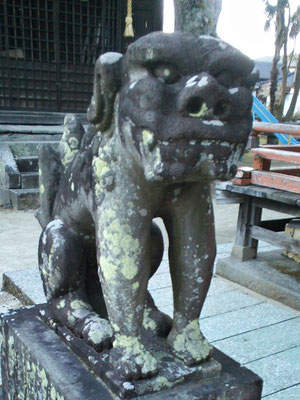 本庄神社の狛犬【吽形】アップの写真