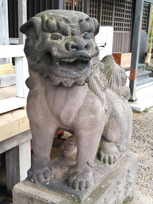 陶山神社の狛犬08番【阿形】アップの写真