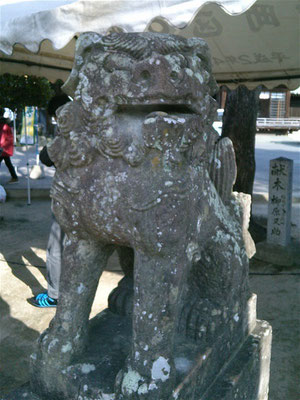 宮地嶽神社の狛犬02番【阿形】アップの写真