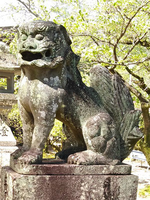 與止日女神社の狛犬【阿形】横の写真