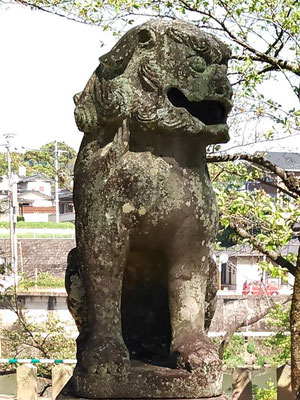 與止日女神社の狛犬【阿形】正面の写真