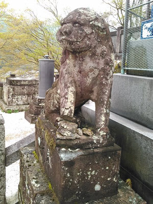 陶山神社の狛犬06番【吽形】の写真
