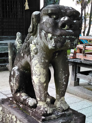 本庄神社の狛犬【吽形】アップの写真
