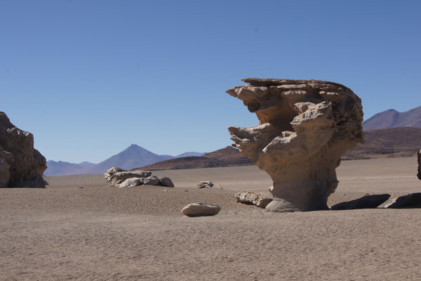 Der Steinbaum (Arbol de Piedra) ist ein bekanntes Fotomotiv auf Reisen durch Bolivien