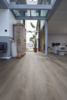 COT1554 Robusto Grey Oak XL Impressie