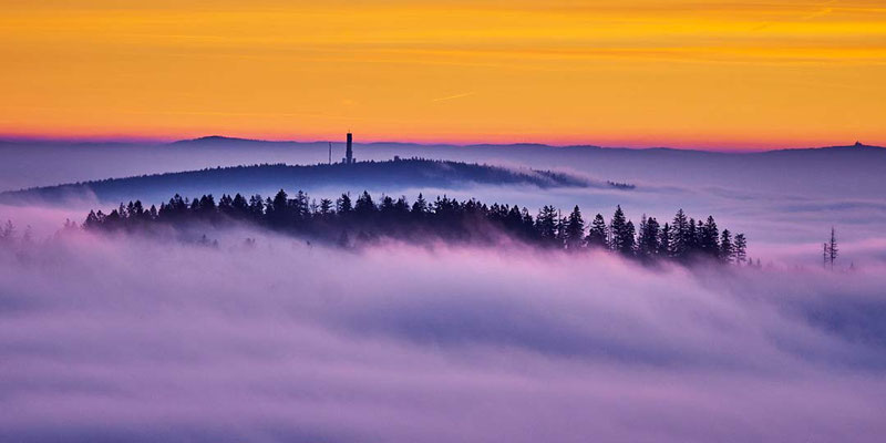 Der Große Kornberg zeichnet sich abstrakt gegen den rötlichen Morgenhimmel und Nebel im Tal ab