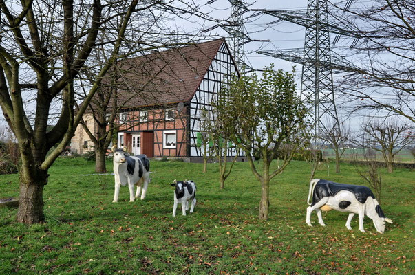 Dortmund, Großholthauserstr.