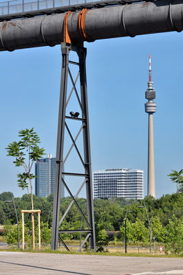 Phoenix-West, Dortmund - Hörde | Ringgasleitung mit "Skywalk" im Hintergrund Fernsehturm "Florian"
