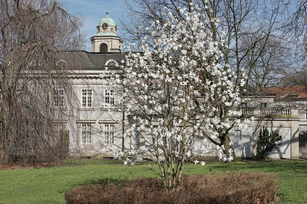 Haus Schulte-Witten, Dortmund-Dorstfeld