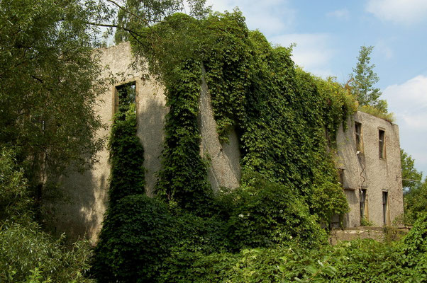 Gut Steinhausen, Dortmund - Holzen | Februar 2007