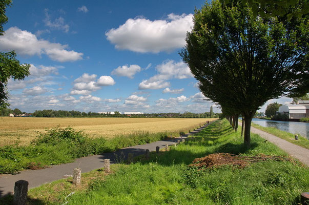 Unmittelbar hinter dem Fredenbaumpark, Richtung Norden, öffnet sich die Stadtlandschaft, das ländliche Dortmund beginnt hier ebenso wie der Treidelpfad, entlang des Dortmund - Ems - Kanals.