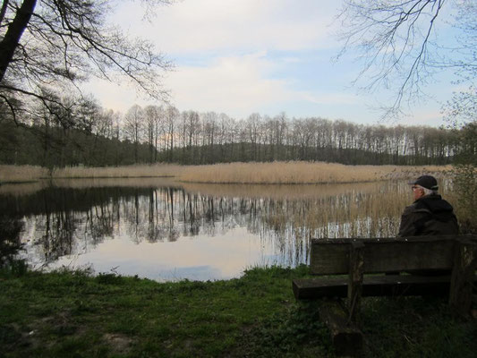 Auch am Teich waren einige Vögel zu hören und zu sehen.