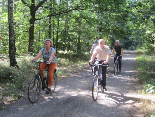Die Fahrradtour ging durch die Wälder der Dübener Heide...
