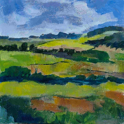 20x20, Acryl auf Sperrholz