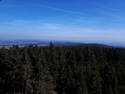 Blick vom Oberpfalzturm über den Steinwald
