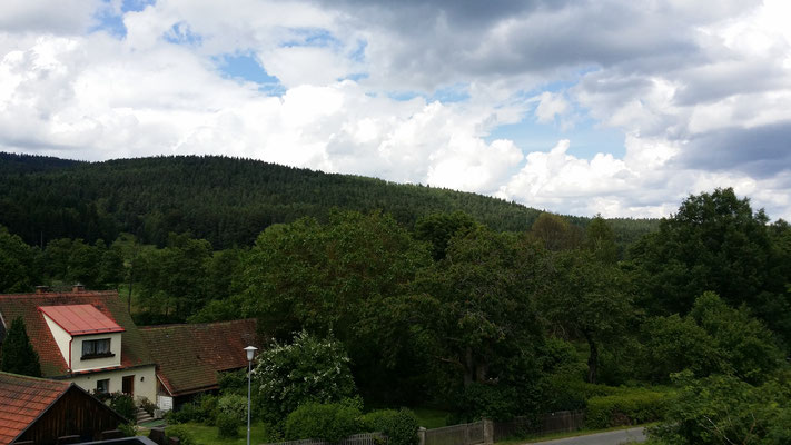 Blick auf den Steinwald, dessen höchste Erhebung auf  946 m üNN liegt. 