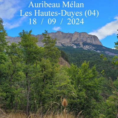 Auribeau Mélan Les Hautes-Duyes