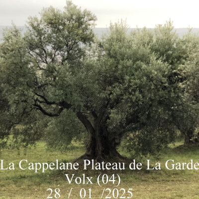 La Cappelane et le Plateau de La Garde à Volx