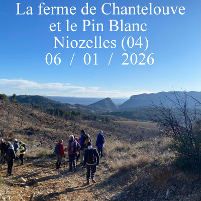 La ferme de Chantelouve et le Pin Blanc