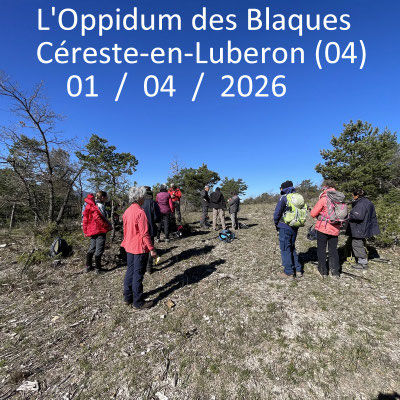 L'Oppidum des Blaques depuis Carluc