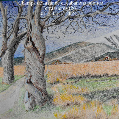 Champs de lavande et cabanons pointus à Ferrassières