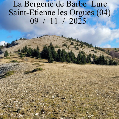 La Bergerie de Barbe La Baisse de Malcort  Lure